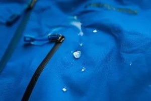 тканина молескін